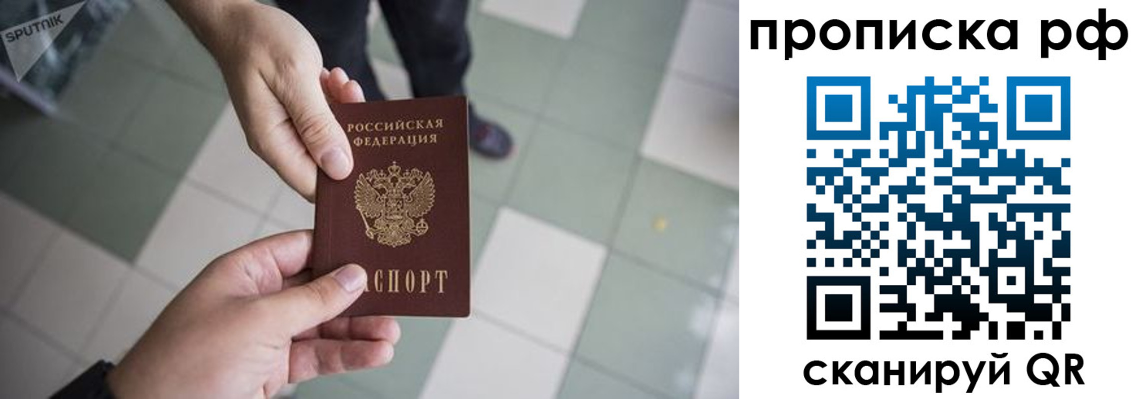 прописка гарантия в Ставрополе